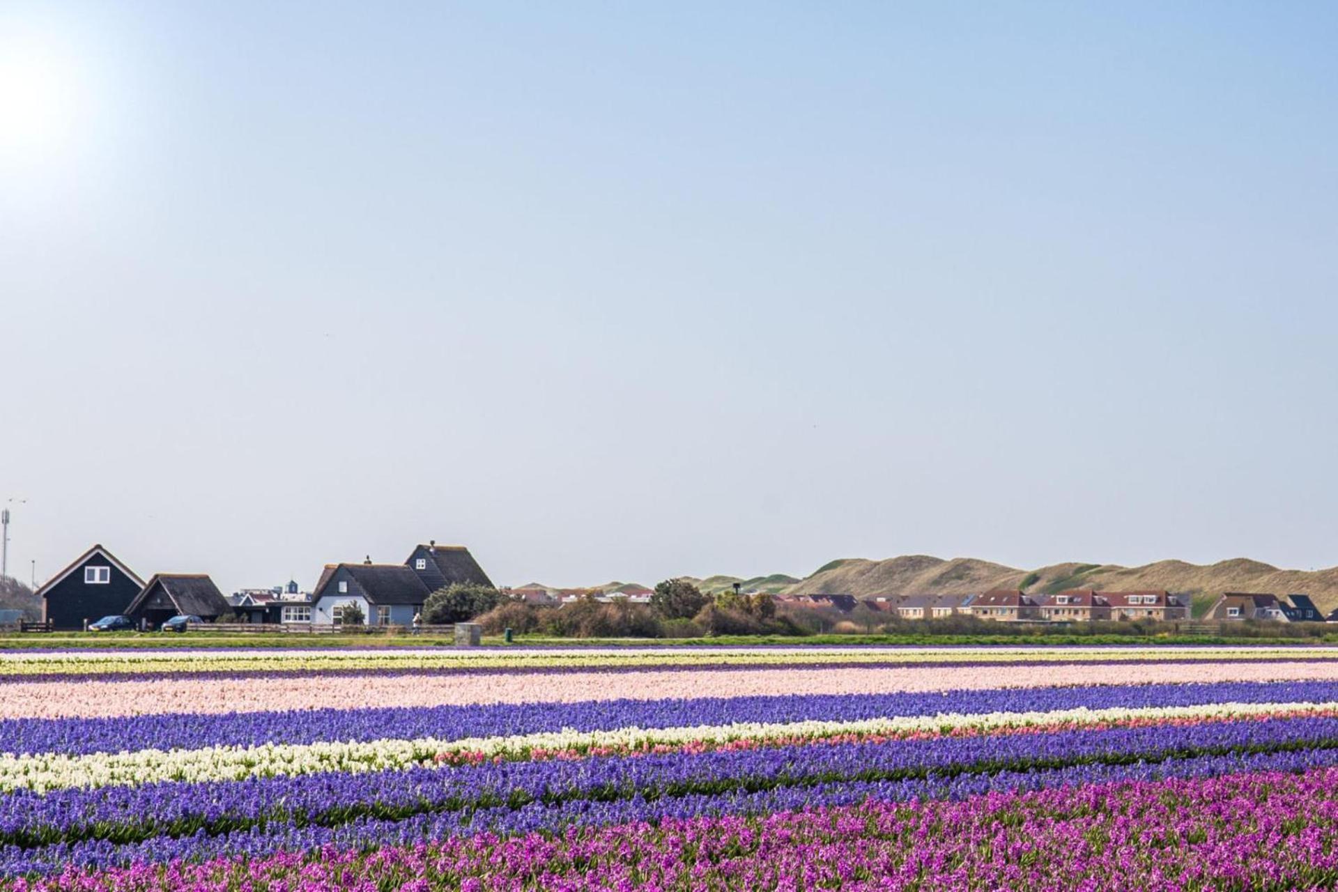 Vakantiehuis Beau - Julianadorp Aan Zee Екстер'єр фото